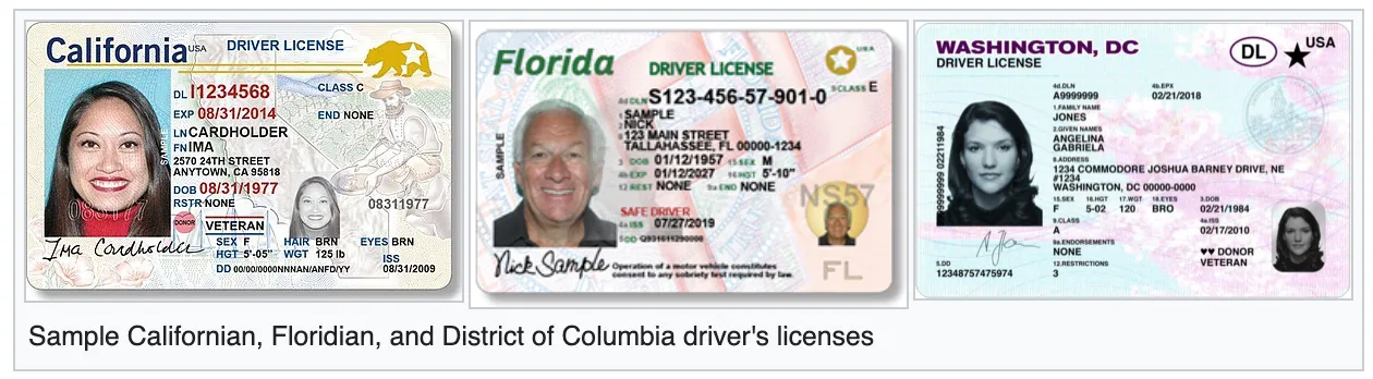 Sample Driver&#x27;s Licenses