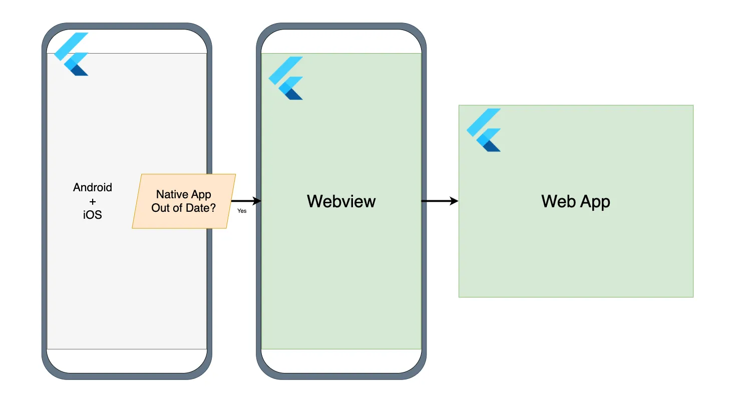 Flutter Webview Fallback